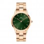Daniel Wellington Watch Iconic Link Emerald