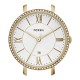 Fossil C141015 Fossil C141015