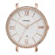 Fossil C141016 Fossil C141016