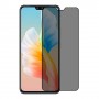 vivo S10 защитный экран пленка гидрогель конфиденциальность (силикон) Одна штука скрин мобиль