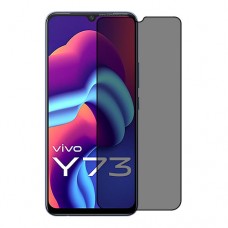 vivo Y73 защитный экран пленка гидрогель конфиденциальность (силикон) Одна штука скрин мобиль
