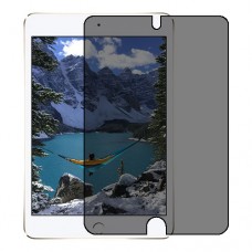 Apple iPad mini 4 (2015) защитный экран пленка гидрогель конфиденциальность (силикон) Одна штука скрин мобиль