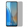vivo Y29 защитный экран из нано стекло Privacy 9H