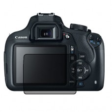 Canon EOS 1200D (EOS Rebel T5 - EOS Kiss X70) защитный экран для фотоаппарата пленка гидрогель конфиденциальность (силикон)