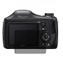 Sony Cyber-shot DSC-H300 защитный экран для фотоаппарата пленка гидрогель конфиденциальность (силикон)