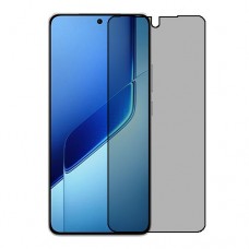 Vivo iQOO Neo10 Pro+ (China) защитный экран из нано стекло Privacy 9H