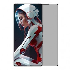 ZTE nubia RedMagic 10S Pro 5G защитный экран из нано стекло Privacy 9H