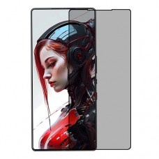 ZTE nubia RedMagic 10S Pro+ 5G защитный экран из нано стекло Privacy 9H