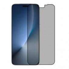 Honor Magic8 Pro 5G защитный экран из нано стекло Privacy 9H